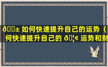 🐱 如何快速提升自己的运势（如何快速提升自己的 🦢 运势和财运）